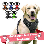 Hundegeschirr ohne Zugkraft